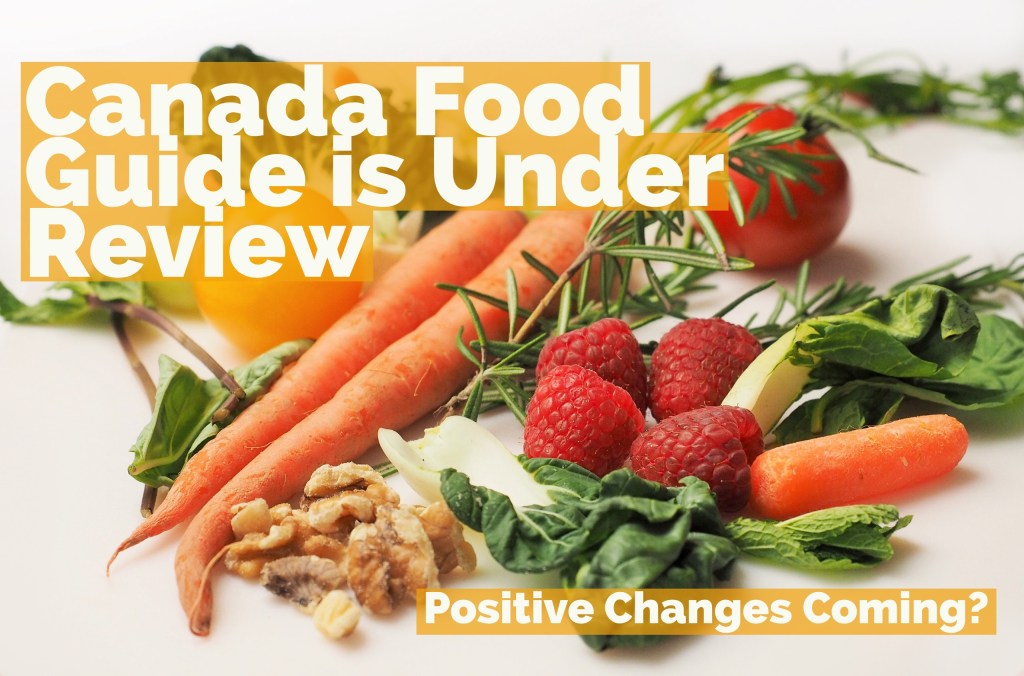 Canada Food Guide is Under Review: Positive Changes&nbsp;Coming?